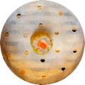 Siomay